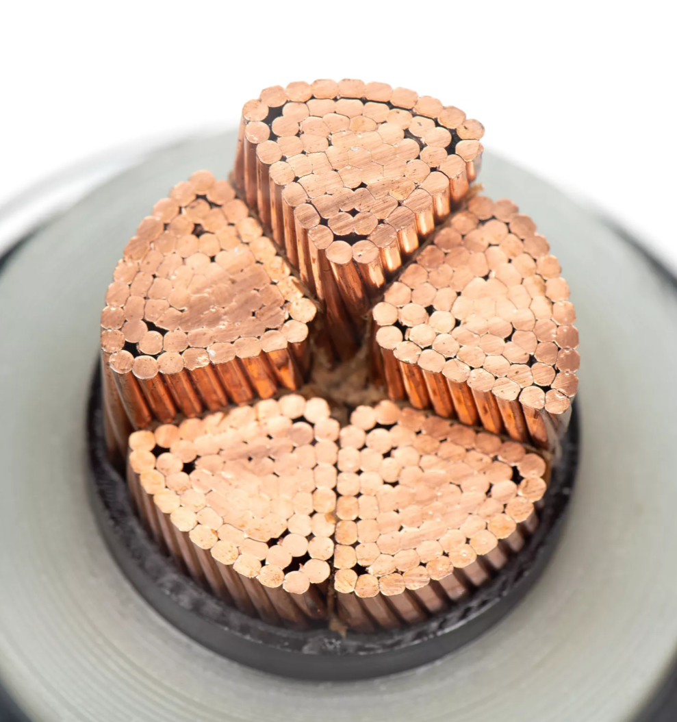 Copper conductors Aeris conductores